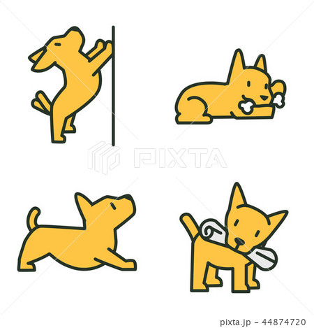 Flat veterinary icons set. use for web and mobile UI, set of basic veterinary elements isolated vector illustration 044 44874720