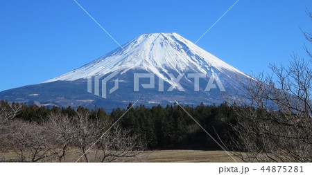 朝霧高原より冬富士 44875281