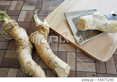 山わさび 山わさび 44875293