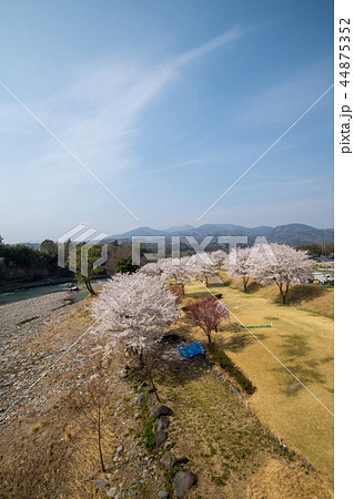 敷島マレットゴルフ場付近　あさだばし上流利根川　群馬県渋川市 44875352