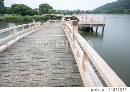 乙女ヶ池 滋賀県高島市 乙女ヶ池 滋賀県高島市 44875375