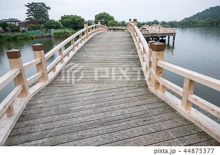 乙女ヶ池 滋賀県高島市 乙女ヶ池 滋賀県高島市 44875377