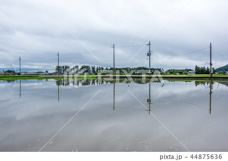 水はりした田 水はりした田 44875636