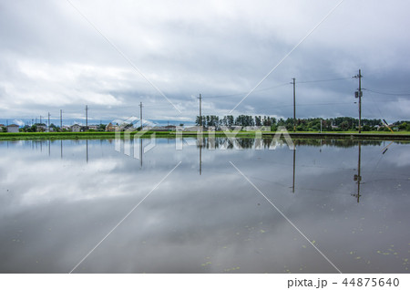 水はりした田 水はりした田 44875640