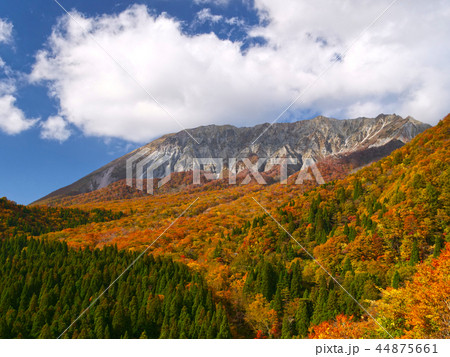 紅葉の大山南壁を鍵掛峠から望む 紅葉の大山南壁を鍵掛峠から望む 44875661