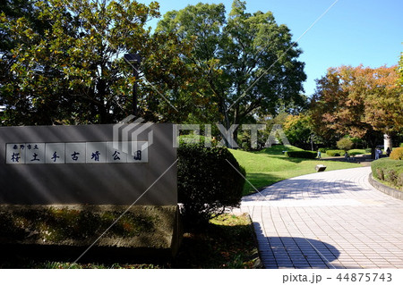 秋の古墳公園 秋の古墳公園 44875743