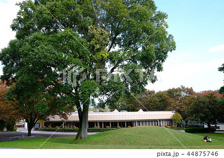 桜土手古墳公園 桜土手古墳公園 44875746