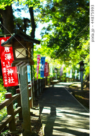 唐澤山　参道 44875993