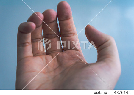 手 44876149