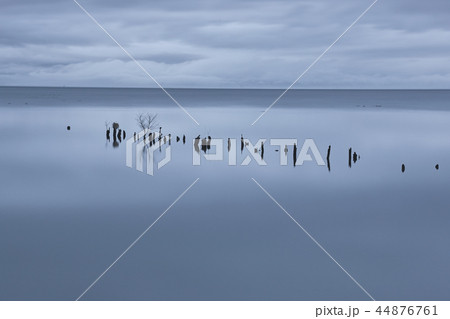 琵琶湖畔の朝 琵琶湖畔の朝 44876761