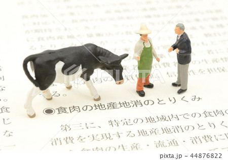 地産地消イメージ 44876822