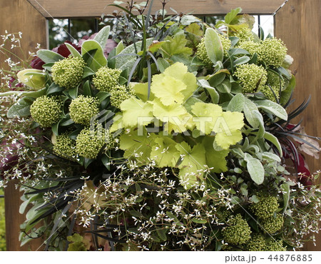 フラワーバスケット 44876885