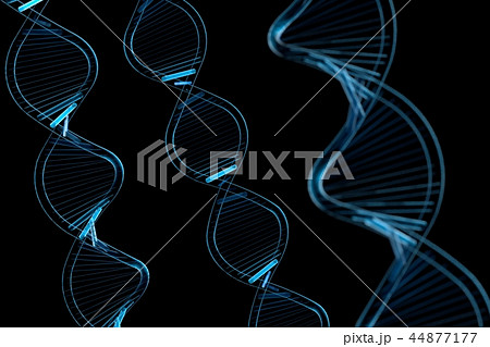 DNAイメージ 44877177