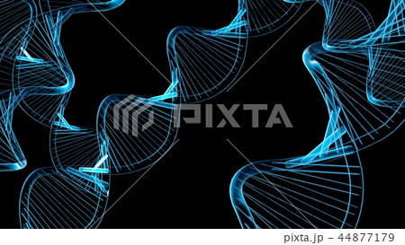 DNAイメージ DNAイメージ 44877179