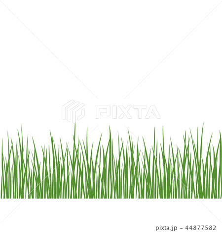 Grass detailed silhouettes on white. Herbs garden Grass detailed silhouettes on white. Herbs garden 44877582