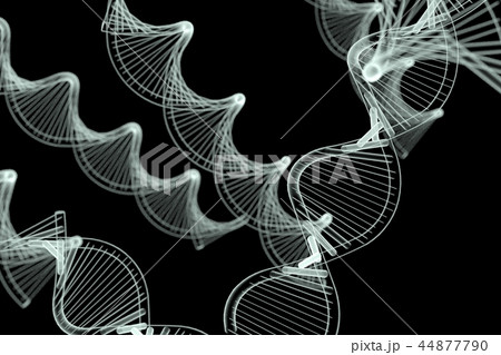DNAイメージ 44877790
