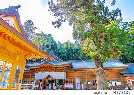 穂高神社　拝殿　神楽殿 44878135