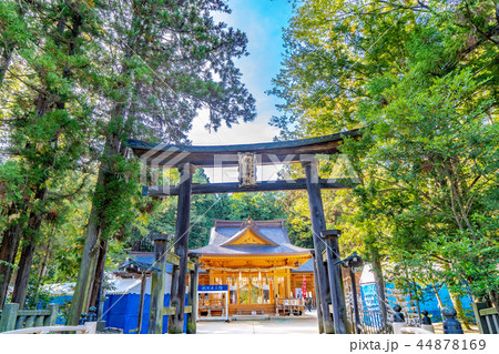 穂高神社 神楽殿 鳥居 穂高神社 神楽殿 鳥居 44878169