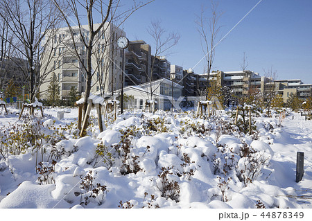 都会 雪 都会 雪 44878349