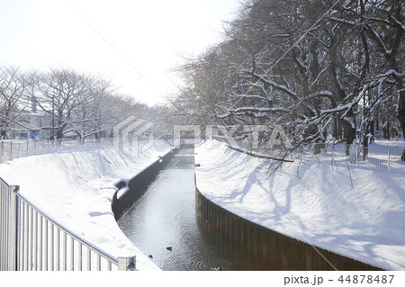 善福寺　雪 44878487