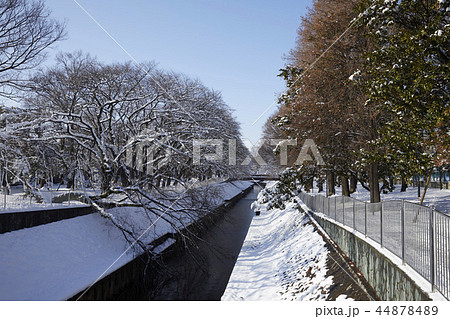 善福寺　雪 44878489