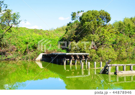 大阪 いたすけ古墳(世界文化遺産) 大阪 いたすけ古墳(世界文化遺産) 44878946