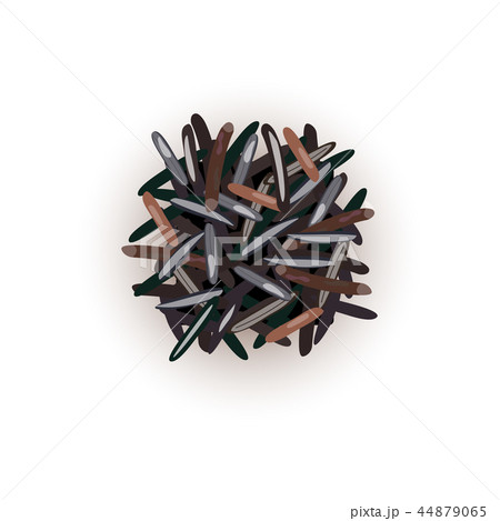 Wild black rice grains. Vector illustration. 44879065