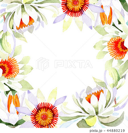 Watercolor white lotus flower. Floral botanical flower. Frame border ornament square. Watercolor white lotus flower. Floral botanical flower. Frame border ornament square. 44880219