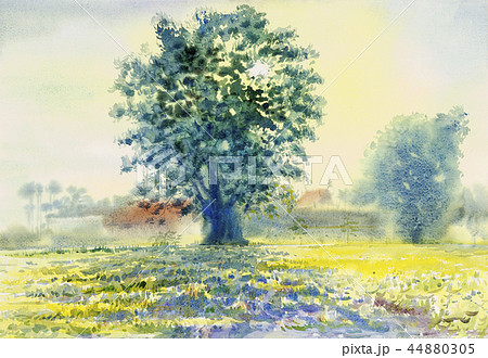 Watercolor landscape painting of meadow and sun.  Watercolor landscape painting of meadow and sun.  44880305