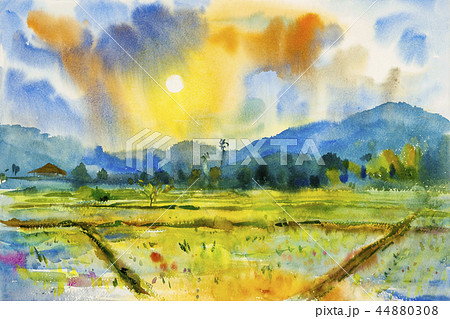 Watercolor landscape painting of rice field. 44880308
