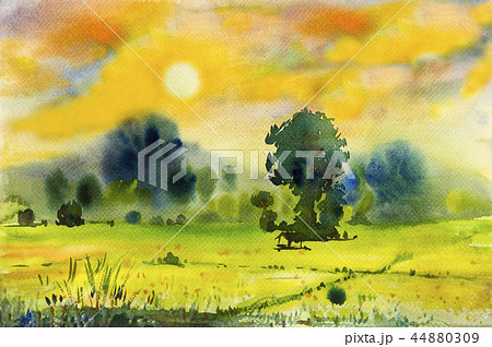 Watercolor landscape painting of rice field. 44880309
