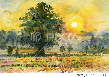 Colorful of rice field in countryside in sunset. Colorful of rice field in countryside in sunset. 44880311