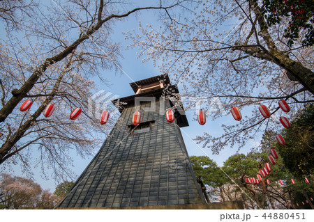沼田城址公園　桜　鐘楼　群馬県沼田市 44880451