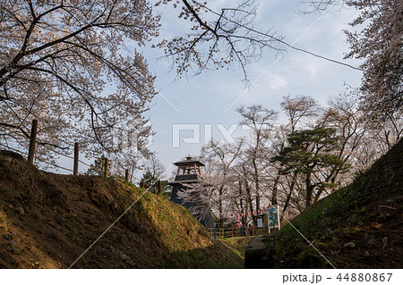 沼田城址公園 桜 鐘楼 群馬県沼田市 沼田城址公園 桜 鐘楼 群馬県沼田市 44880867