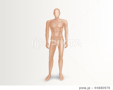 Vector 3d Male Mannequin Nude Plastic Dummyのイラスト素材