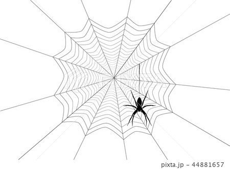 Spider black silhouette hanging on web, vector eps 44881657