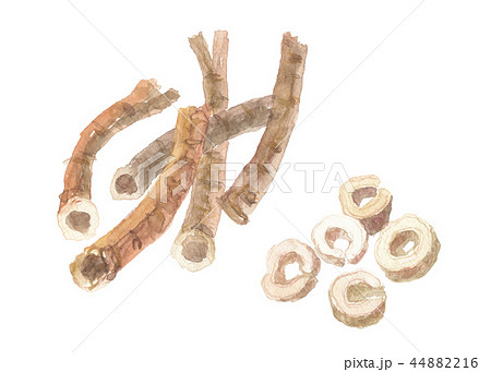 牡丹皮　ボタンピ　 44882216