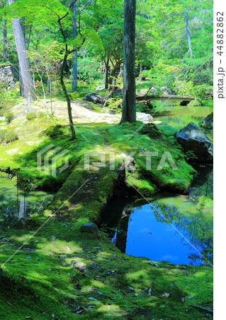苔寺 西芳寺 苔寺 西芳寺 44882862