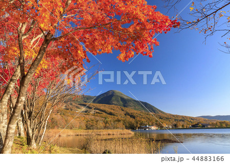 女神湖 女神湖 44883166