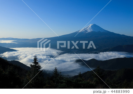 新道峠から望む富士山・雲海 新道峠から望む富士山・雲海 44883990