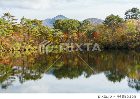 裏磐梯ばや池 44885358