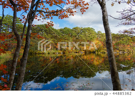 裏磐梯ばや池 44885362