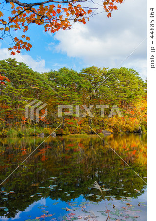 裏磐梯ばや池 44885364