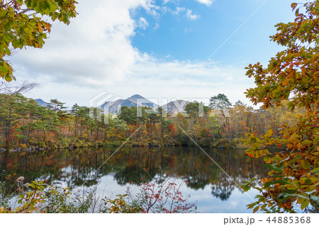 裏磐梯ばや池 44885368