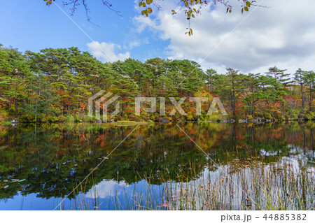 裏磐梯ばや池 44885382