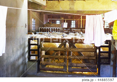 六甲山牧場 六甲山牧場 44885597