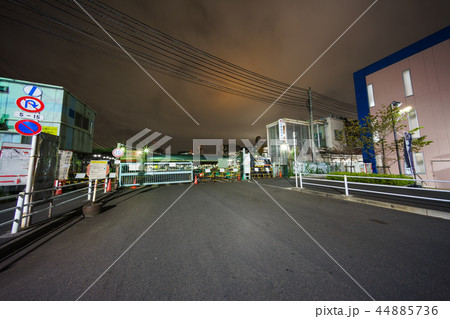 築地市場　閉場後 44885736