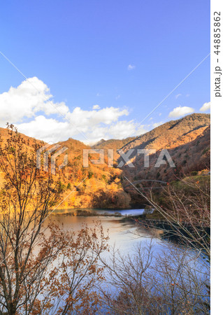 秋の奥四万湖の風景 44885862