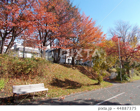 白石こころーど　南郷13丁目付近 44887375