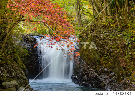 止滝 止滝 44888134